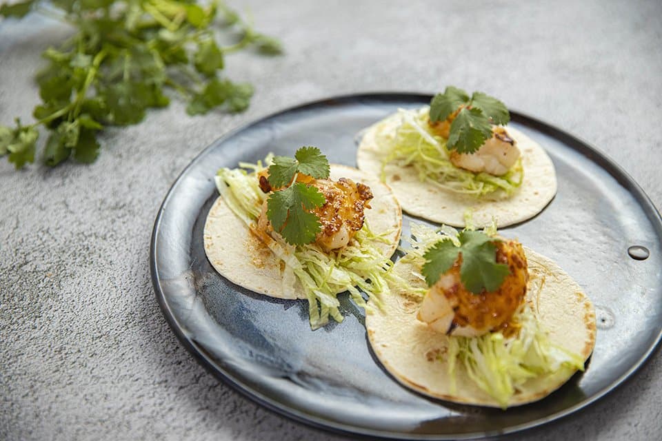 Moreton Bay Bug Tacos